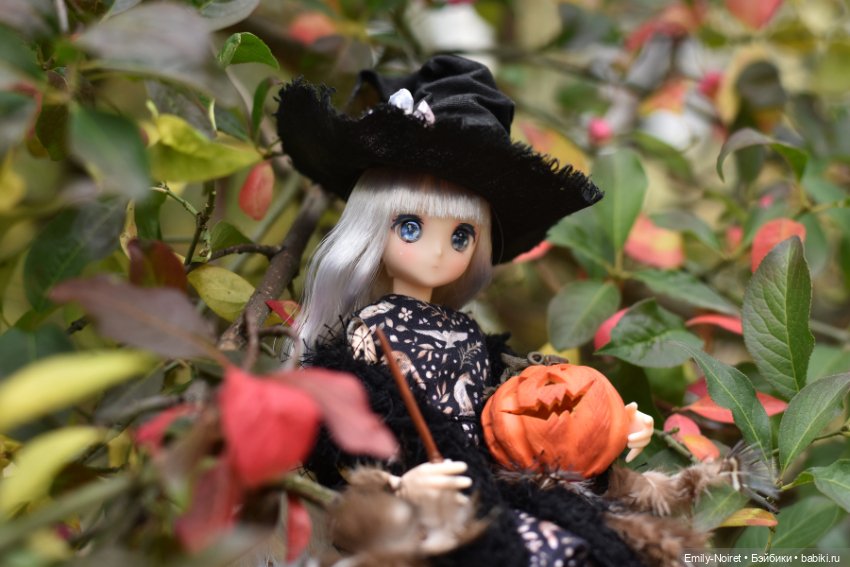 Ведьма Мэри — Куклы Azone (Азон) и тела Pure Neemo: фото (фото 7)