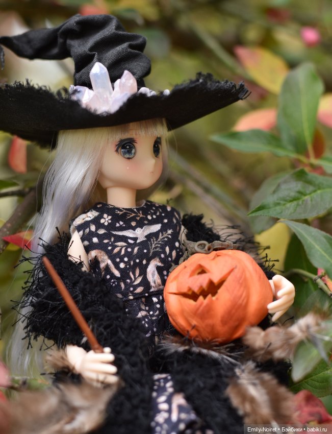 Ведьма Мэри — Куклы Azone (Азон) и тела Pure Neemo: фото (фото 6)