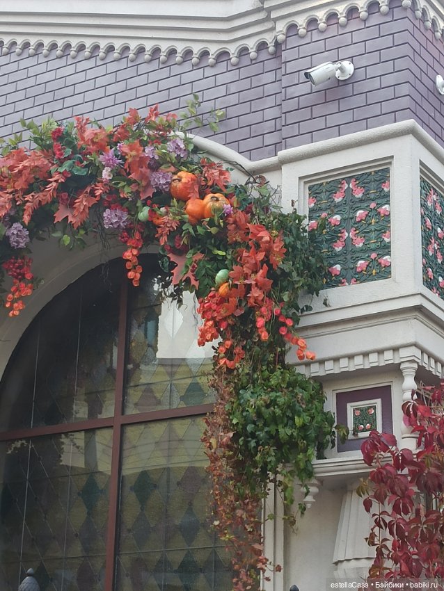 Фестиваль тыкв — Туризм и путешествия: фотоотчеты из поездок