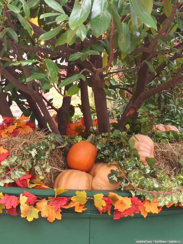 Фестиваль тыкв — Туризм и путешествия: фотоотчеты из поездок (фото 5)