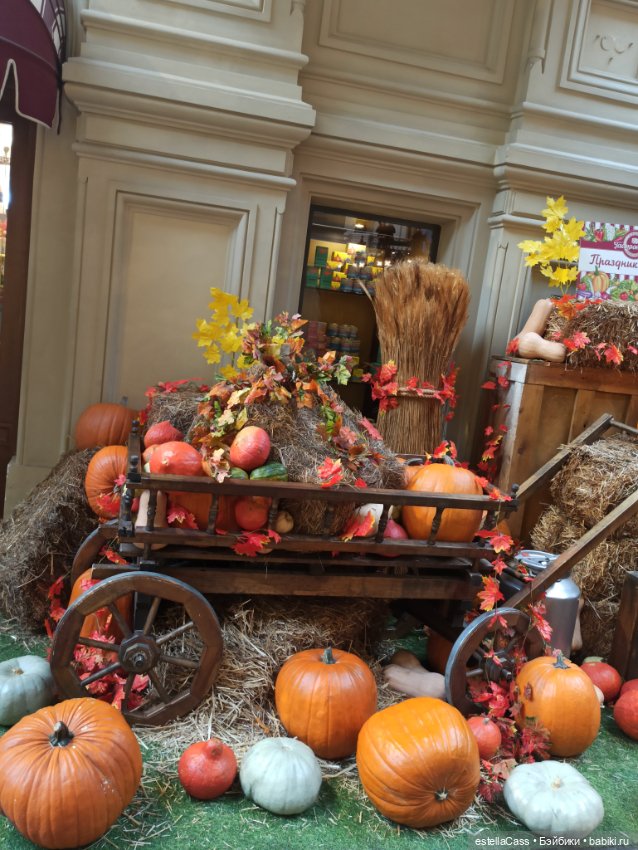 Фестиваль тыкв — Туризм и путешествия: фотоотчеты из поездок