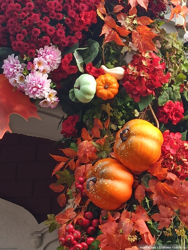 Фестиваль тыкв — Туризм и путешествия: фотоотчеты из поездок