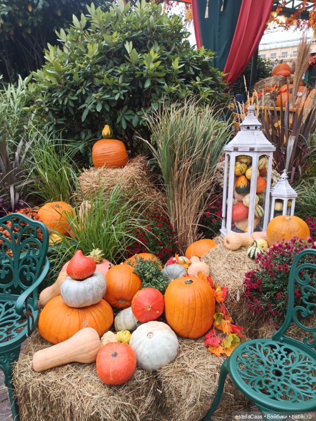 Фестиваль тыкв — Туризм и путешествия: фотоотчеты из поездок