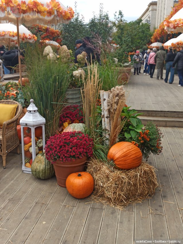 Фестиваль тыкв — Туризм и путешествия: фотоотчеты из поездок