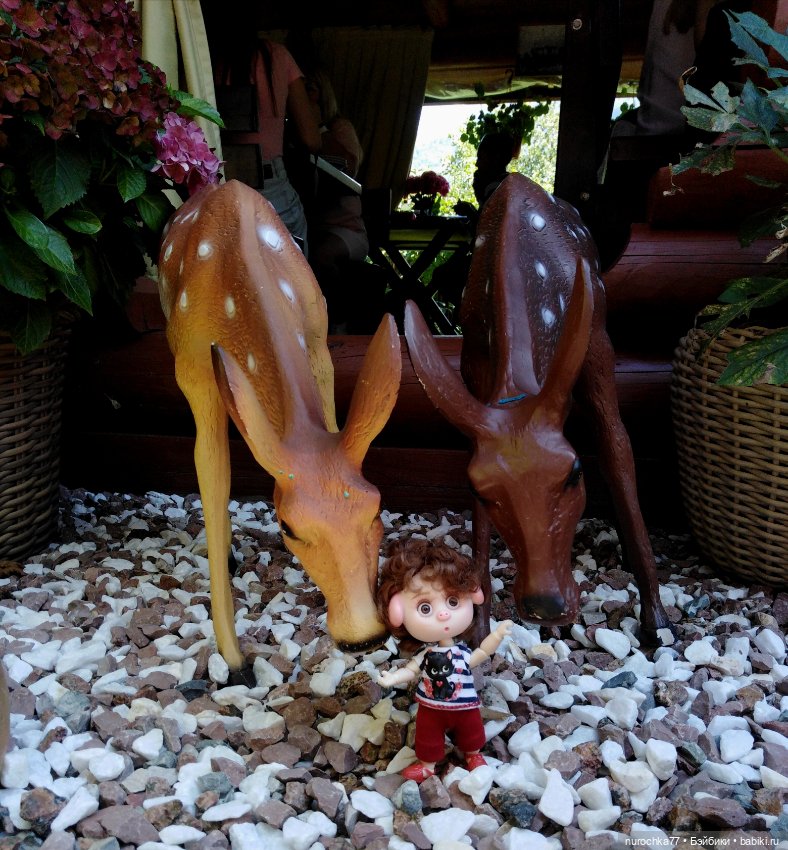 Про Нафочку. Нафочка на рубеже юга России