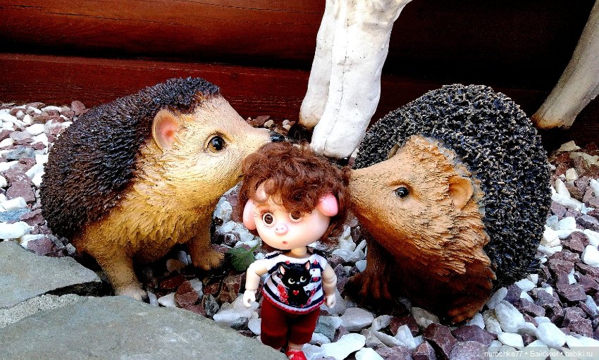 Про Нафочку. Нафочка на рубеже юга России (фото 10)