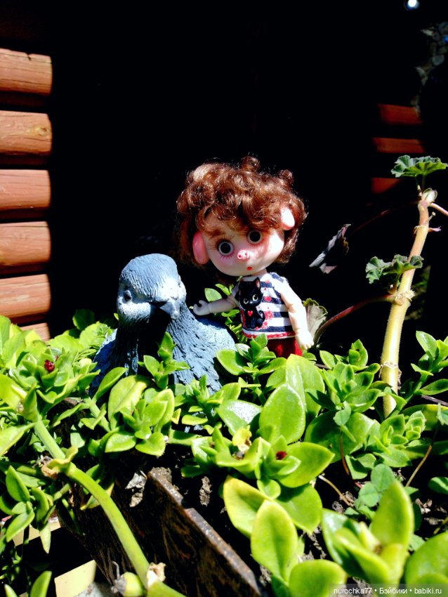 Про Нафочку. Нафочка на рубеже юга России