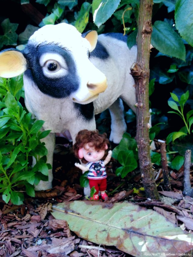 Про Нафочку. Нафочка на рубеже юга России