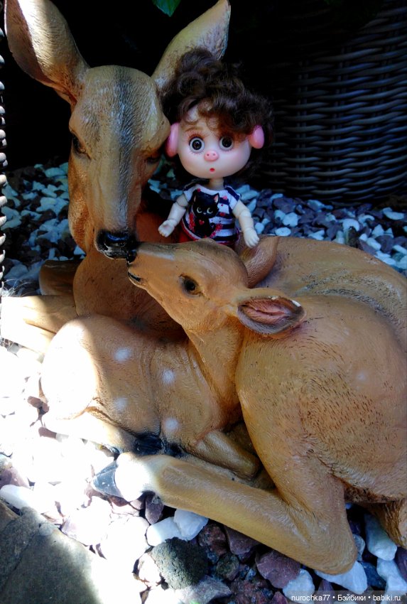 Про Нафочку. Нафочка на рубеже юга России