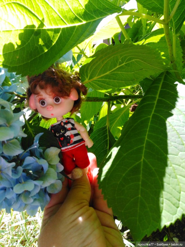 Про Нафочку. Нафочка на рубеже юга России