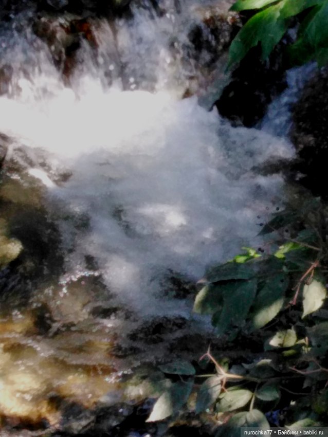 Про Нафочку. Нафочка на рубеже юга России