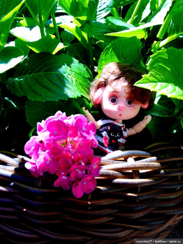 Про Нафочку. Нафочка на рубеже юга России (фото 6)