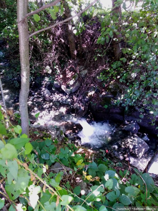 Про Нафочку. Нафочка на рубеже юга России