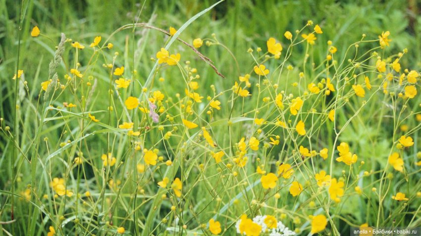 Юла. Кусочек лета — Игровые куклы разных производителей (Разное): редкие бренды (фото 7)