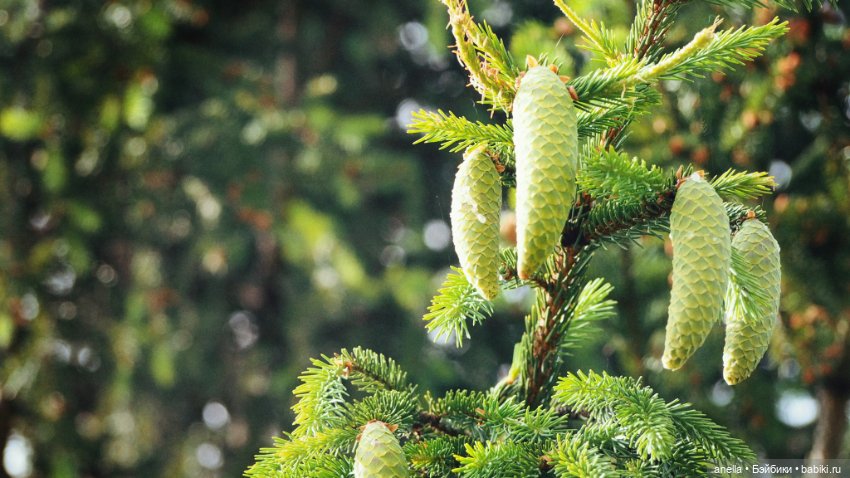 Юла. Кусочек лета — Игровые куклы разных производителей (Разное): редкие бренды