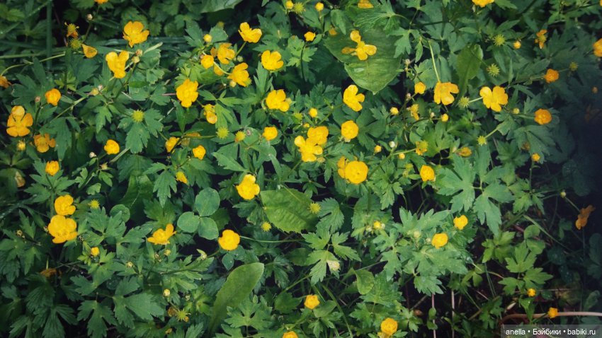 Юла. Кусочек лета — Игровые куклы разных производителей (Разное): редкие бренды (фото 5)