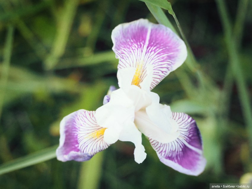 Юла. Кусочек лета — Игровые куклы разных производителей (Разное): редкие бренды