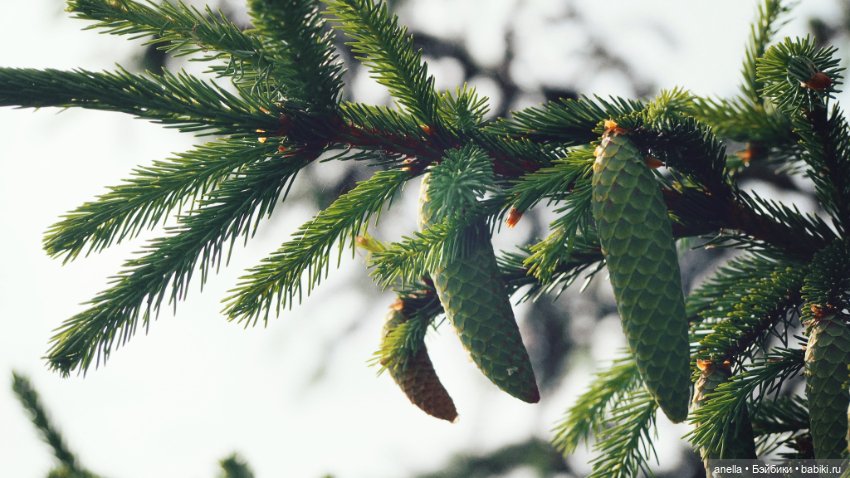 Юла. Кусочек лета — Игровые куклы разных производителей (Разное): редкие бренды