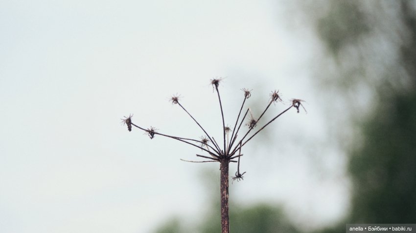 Юла. Кусочек лета — Игровые куклы разных производителей (Разное): редкие бренды