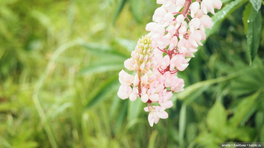 Юла. Кусочек лета — Игровые куклы разных производителей (Разное): редкие бренды