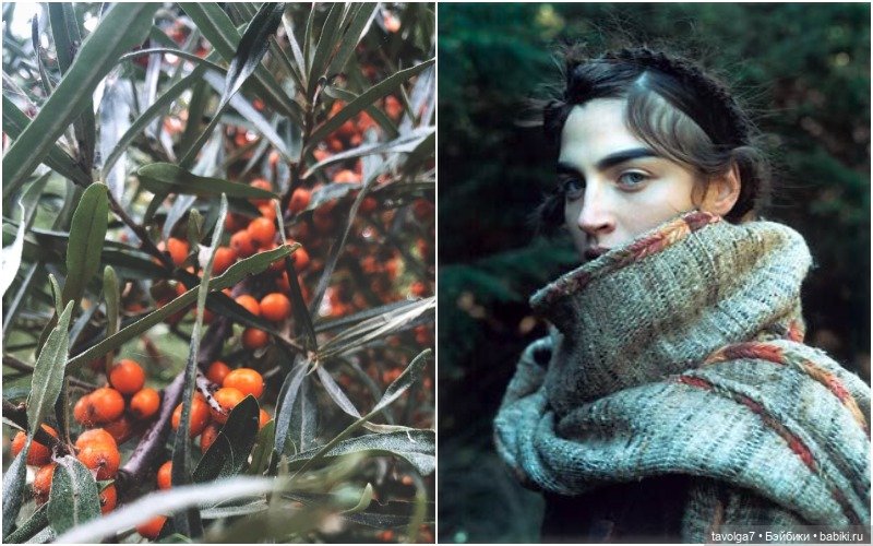 Серо-зелёные оттенки сентября