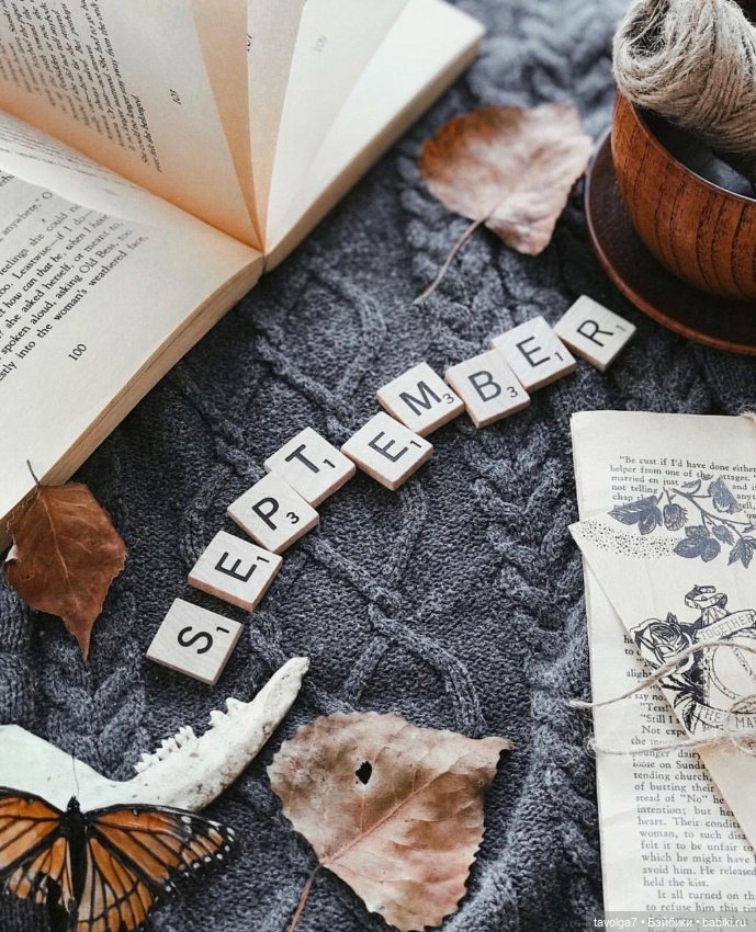 Серо-зелёные оттенки сентября