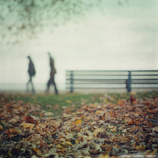 Серо-зелёные оттенки сентября (фото 2)