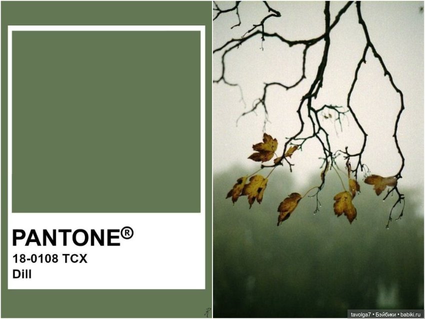 Серо-зелёные оттенки сентября