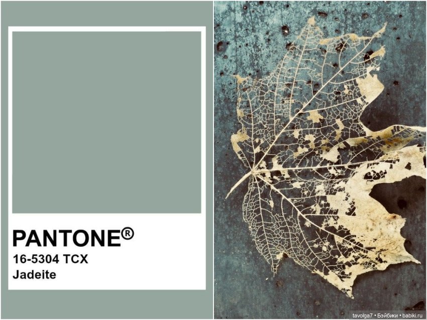 Серо-зелёные оттенки сентября (фото 9)