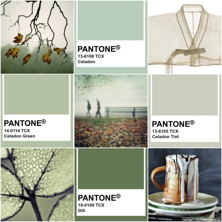 Серо-зелёные оттенки сентября