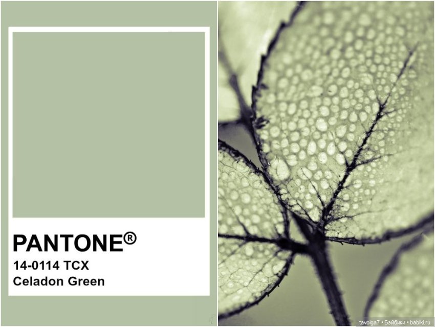 Серо-зелёные оттенки сентября (фото 7)