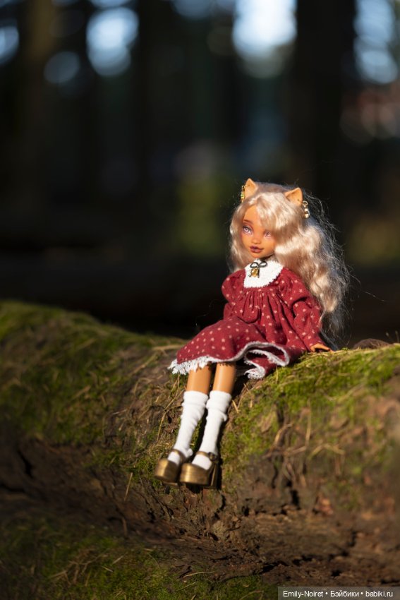 Осенний вечер — Куклы Monster High и Ever After High: G1 (фото 4)