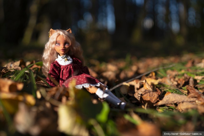 Осенний вечер — Куклы Monster High и Ever After High: G1 (фото 2)