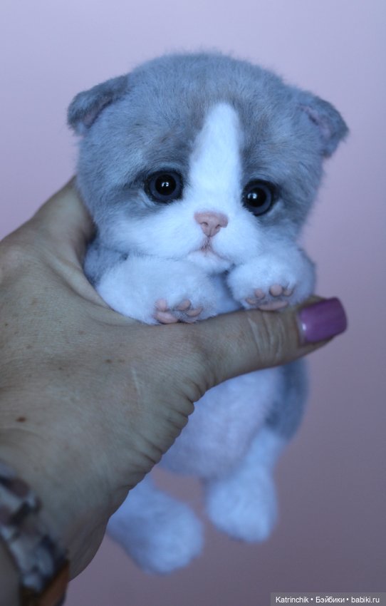 Котенок тедди — Авторские мишки Тедди и друзья: фото (фото 2)