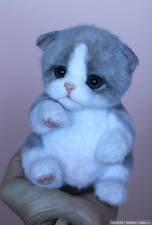 Котенок тедди — Авторские мишки Тедди и друзья: фото (фото 5)