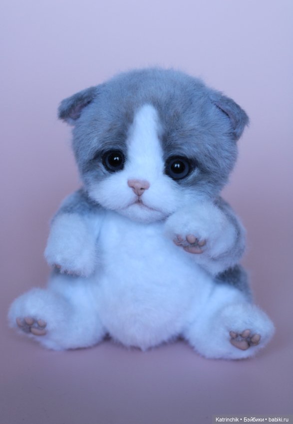 Котенок тедди — Авторские мишки Тедди и друзья: фото (фото 4)