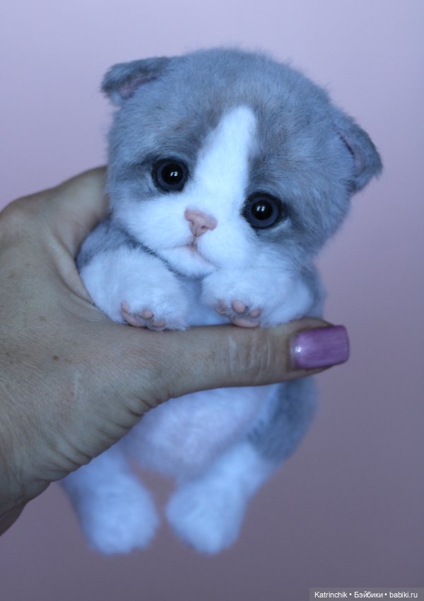 Котенок тедди — Авторские мишки Тедди и друзья: фото