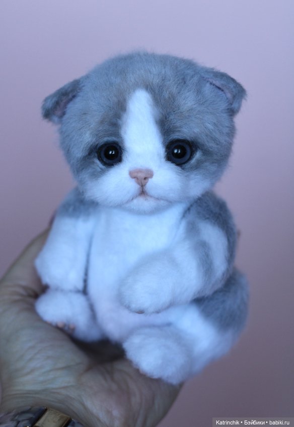 Котенок тедди — Авторские мишки Тедди и друзья: фото (фото 7)