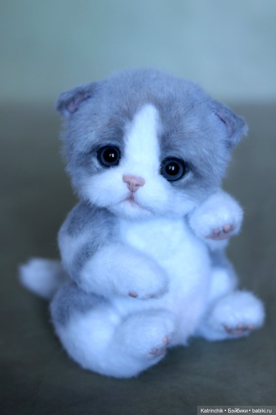 Котенок тедди — Авторские мишки Тедди и друзья: фото (фото 8)