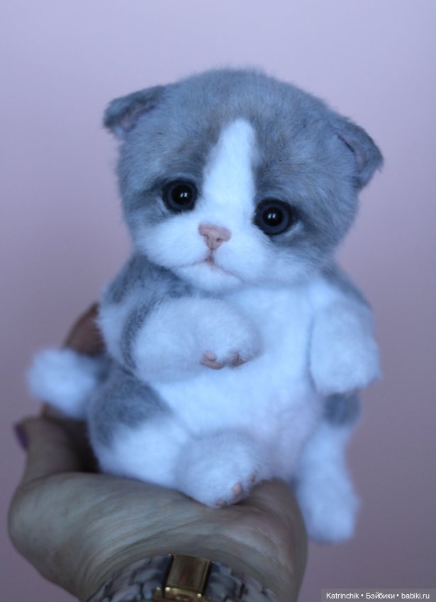 Котенок тедди — Авторские мишки Тедди и друзья: фото (фото 6)