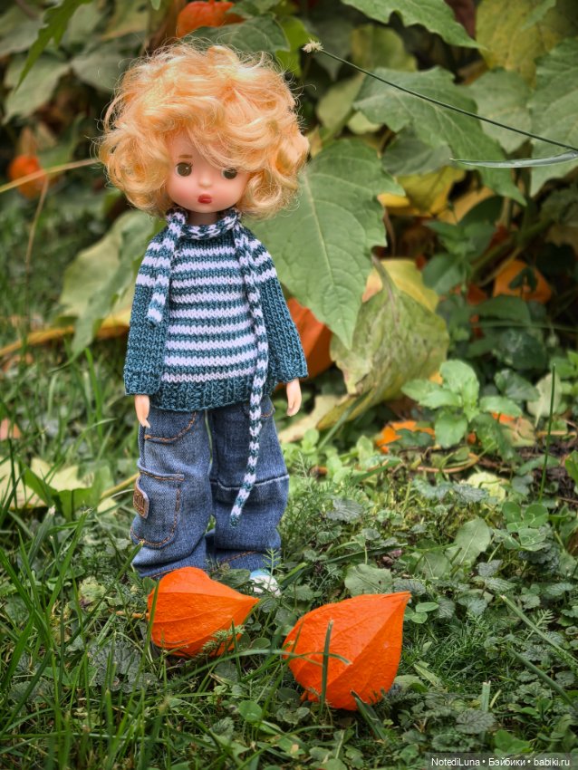 Привет, Октябрь.🍂 — Азиатские виниловые куклы (разное): Китай (фото 5)