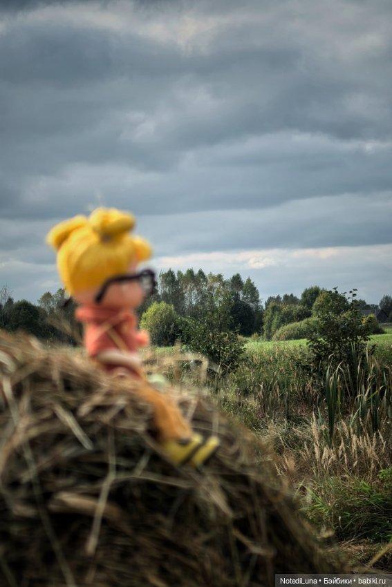 Привет, Октябрь.🍂 — Азиатские виниловые куклы (разное): Китай