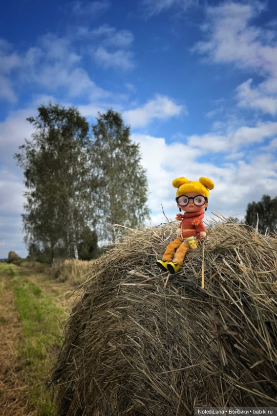 Привет, Октябрь.🍂 — Азиатские виниловые куклы (разное): Китай (фото 8)