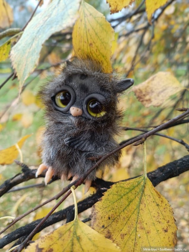 Совенок Тучка — Игрушки в смешанной технике (мех и глина): Арт (фото 2)