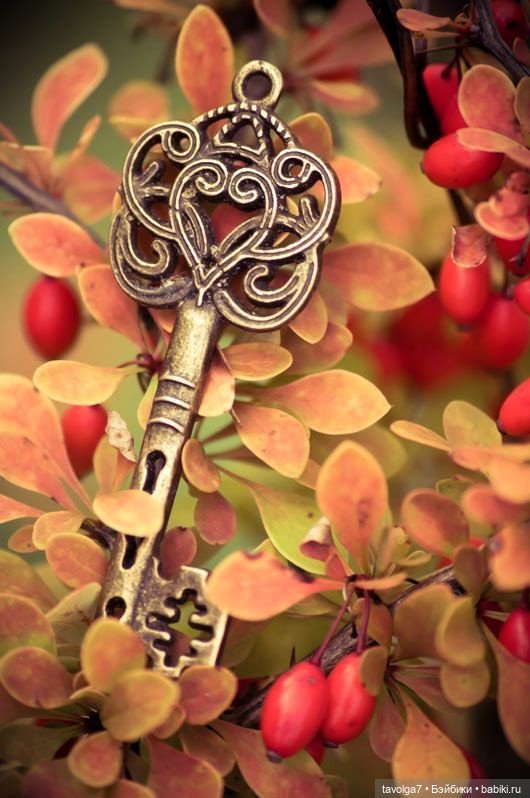 Осень-Лиса в цвете и украшениях (фото 4)