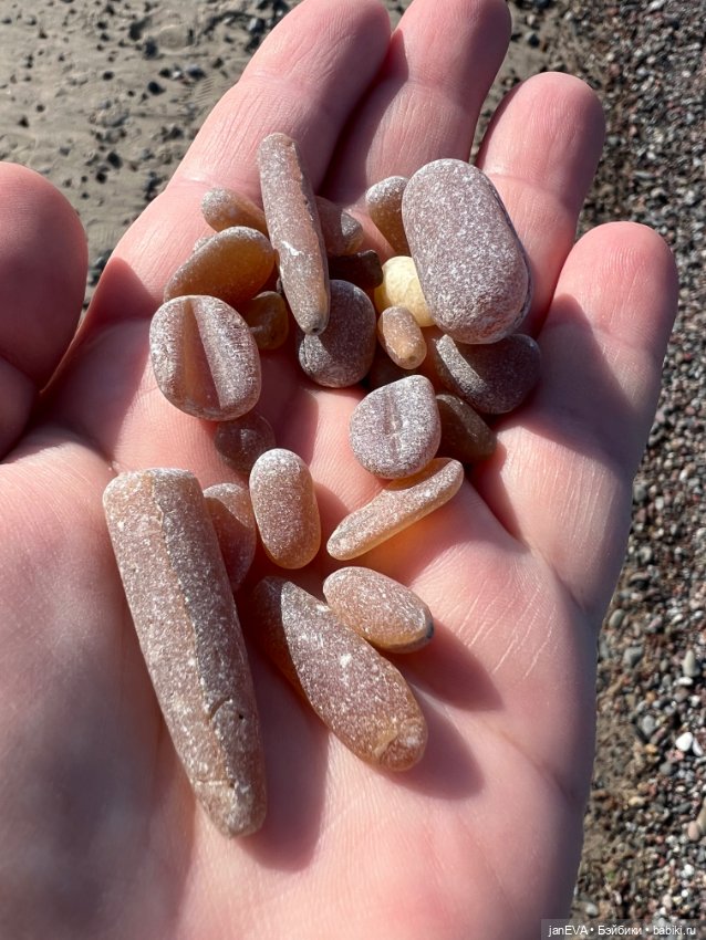 Балтийский зверь — Интересные игрушки и фигурки (разное): редкие (фото 6)