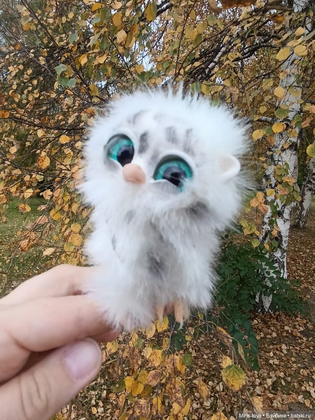 Совенок Лори и последние цветы (фото 4)