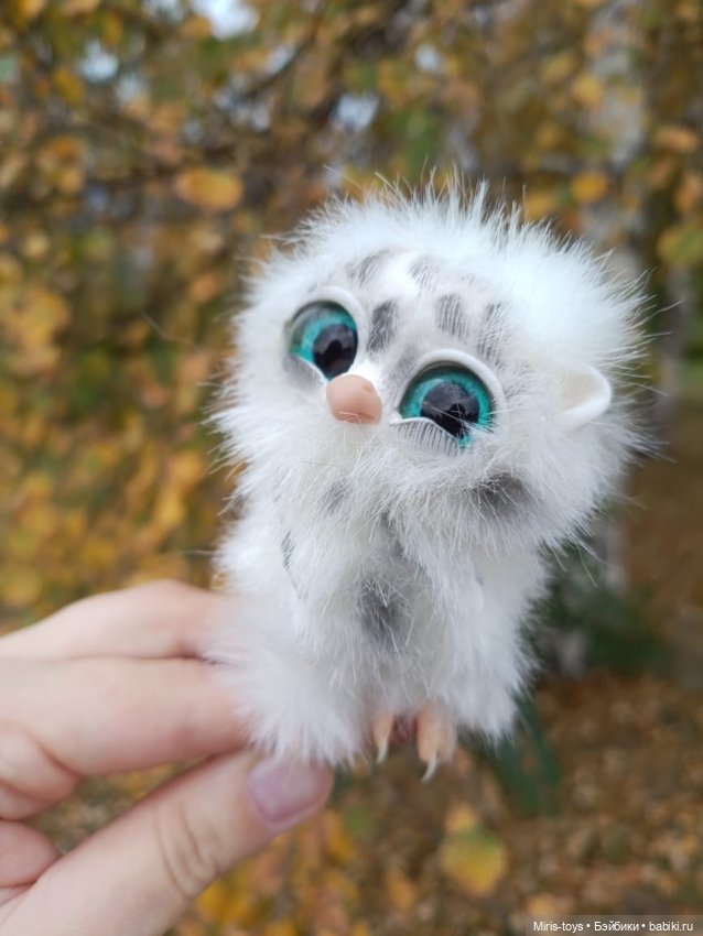 Совенок Лори и последние цветы (фото 8)