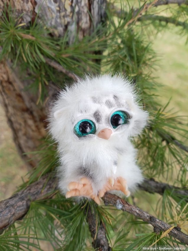 Совенок Лори и последние цветы