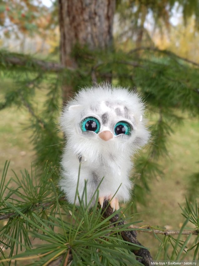 Совенок Лори и последние цветы (фото 10)